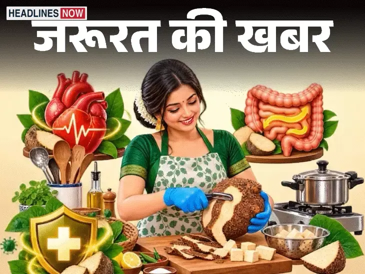 जरूरत की खबर- दिवाली पर सूरन खाने की परंपरा:फाइबर से भरपूर, जानें सूरन के 9 हेल्थ बेनिफिट्स, पकाते हुए ये सावधानी बहुत जरूरी