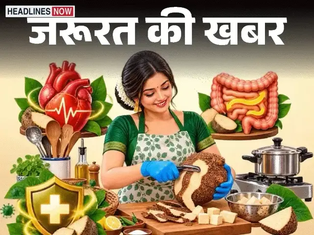 News you need - Tradition of eating suran on Diwali: Rich in fiber, know 9 health benefits of suran, this precaution while cooking is very important