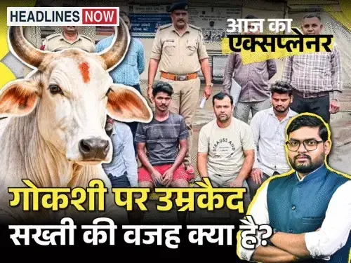 Today's Explainer: Life imprisonment for 3 people on cow slaughter, court said - if no punishment, cow Mata will become extinct; What do the law and scriptures say